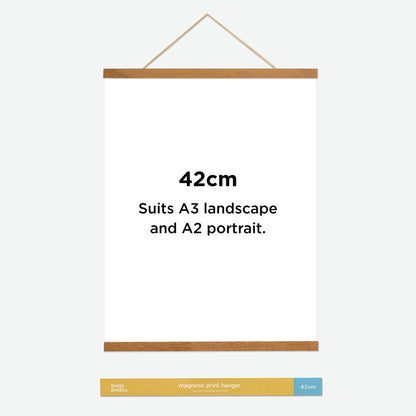 Magnetic Print Hanger Frame 42cm