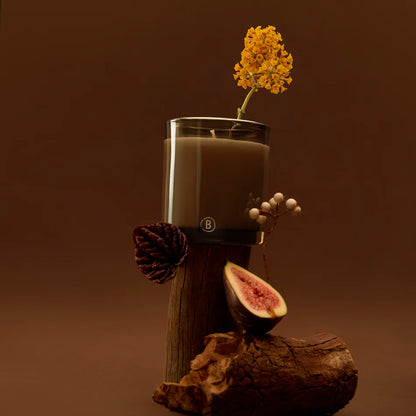 Vetiver & Fig Scented Candle